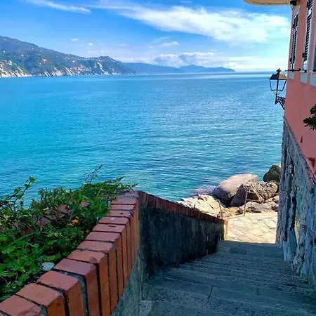 아파트 Casa Pomaro-sul Mare-vicino A Portofino *